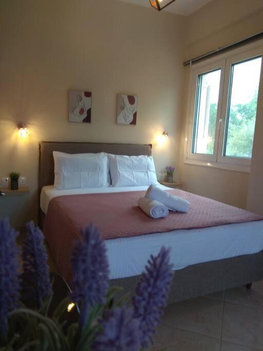 Elena Roza Appartement *